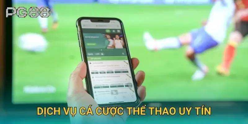 Dịch vụ cá cược thể thao uy tín